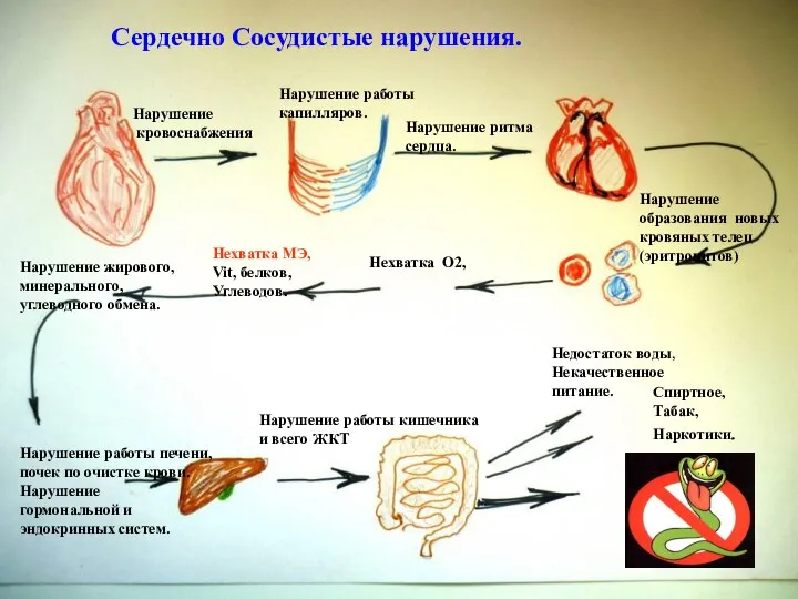 Сердечно Сосудистые нарушения. Нарушение кровоснабжения Нарушение работы капилляров. Нарушение ритма сердца. Нарушение