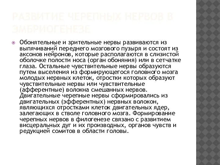 РАЗВИТИЕ ЧЕРЕПНЫХ НЕРВОВ В ЭМБРИОГЕНЕЗЕ Обонятельные и зрительные нервы развиваются из выпячиваний