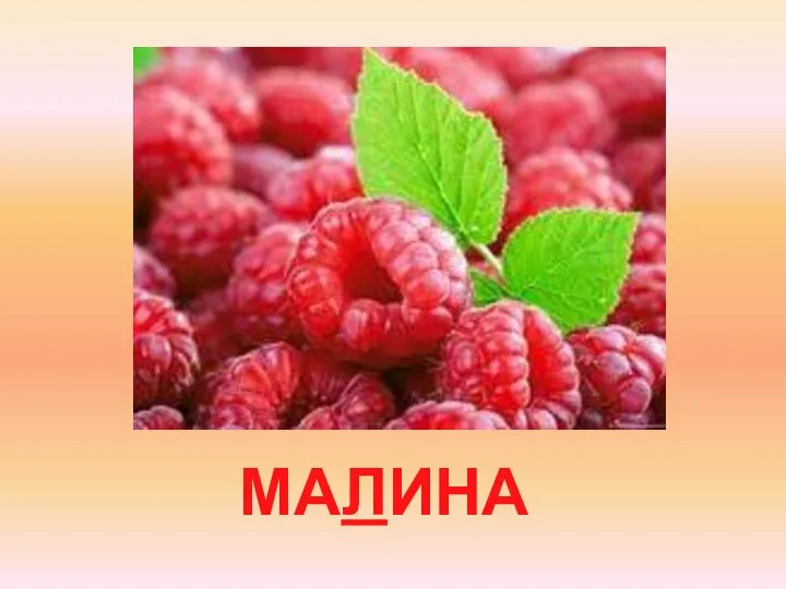 МАЛИНА