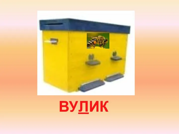 ВУЛИК