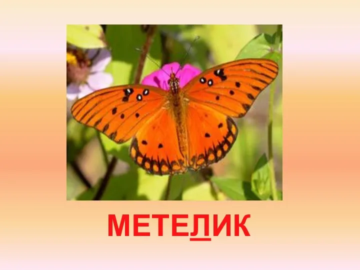 МЕТЕЛИК