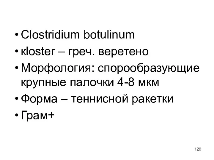 Clostridium botulinum кloster – греч. веретено Морфология: спорообразующие крупные палочки 4-8 мкм