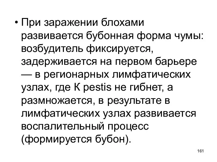 При заражении блохами развивается бубонная форма чумы: возбудитель фиксируется, задерживается на первом