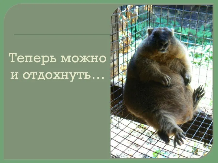 Теперь можно и отдохнуть…