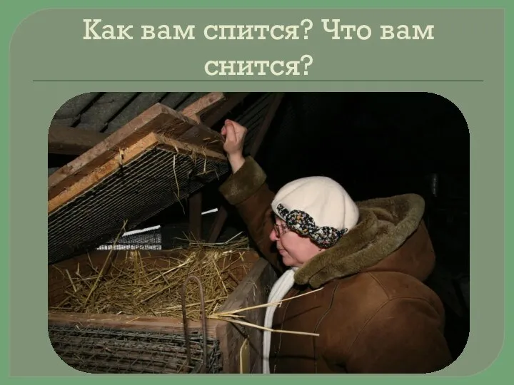 Как вам спится? Что вам снится?