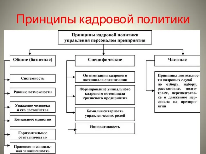 Принципы кадровой политики