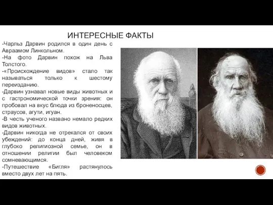 ИНТЕРЕСНЫЕ ФАКТЫ -Чарльз Дарвин родился в один день с Авраамом Линкольном. -На