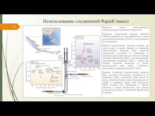 Использование соединений RapidConnect 1 Вскрытие пласта многозабойными горизонтальными скважинами в Индонезии. Китайская