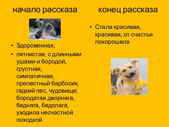 начало рассказа конец рассказа Здоровенная, пятнистая, с длинными ушами и бородой, грустная,