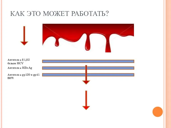 КАК ЭТО МОЖЕТ РАБОТАТЬ? Антитела к Е1,Е2 белкам HCV Антитела к HBs