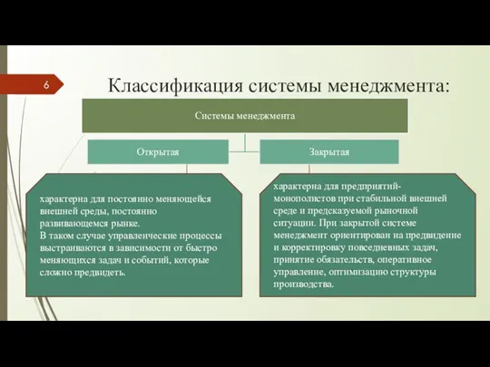 Классификация системы менеджмента: характерна для постоянно меняющейся внешней среды, постоянно развивающемся рынке.