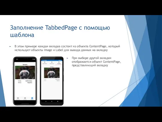 Заполнение TabbedPage с помощью шаблона В этом примере каждая вкладка состоит из