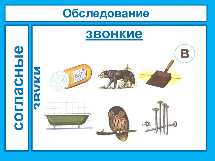 Обследование звукопроизношения согласные звуки звонкие (парные)