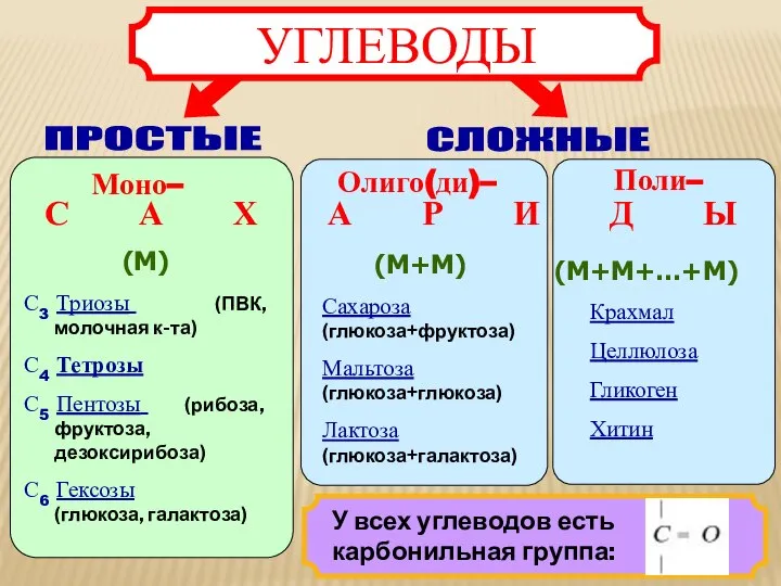 Моно– Олиго(ди)– Поли– С А Х А Р И Д Ы С3