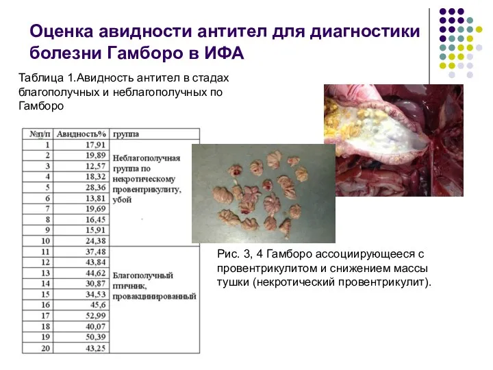 Оценка авидности антител для диагностики болезни Гамборо в ИФА Рис. 3, 4