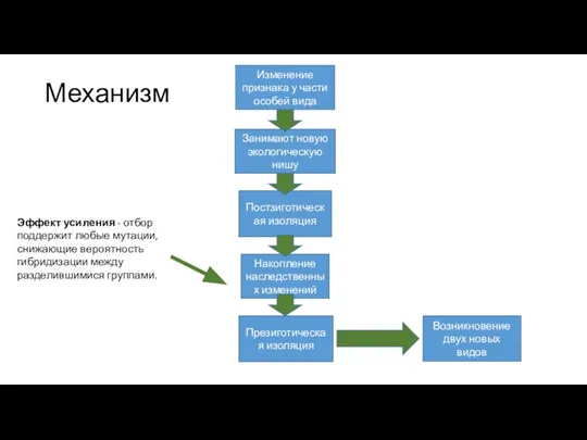 Механизм Изменение признака у части особей вида Накопление наследственных изменений Постзиготическая изоляция