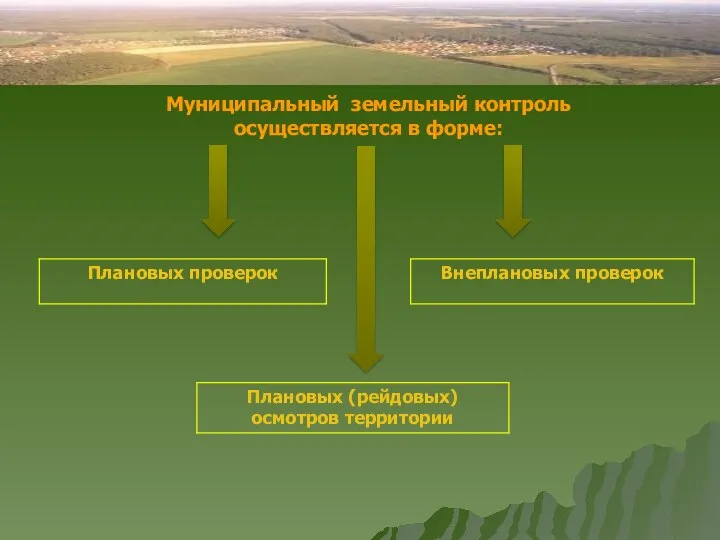 Муниципальный земельный контроль осуществляется в форме: