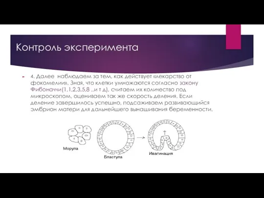 Контроль эксперимента 4. Далее наблюдаем за тем, как действует «лекарство от фокомелии».