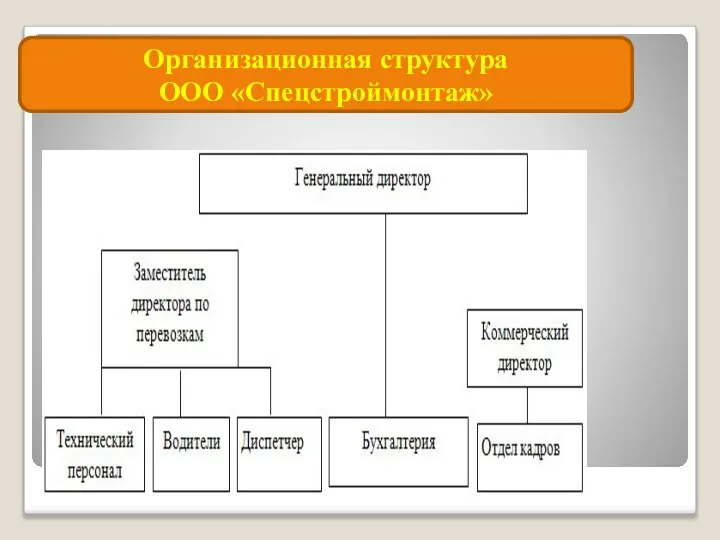 Организационная структура ООО «Спецстроймонтаж»