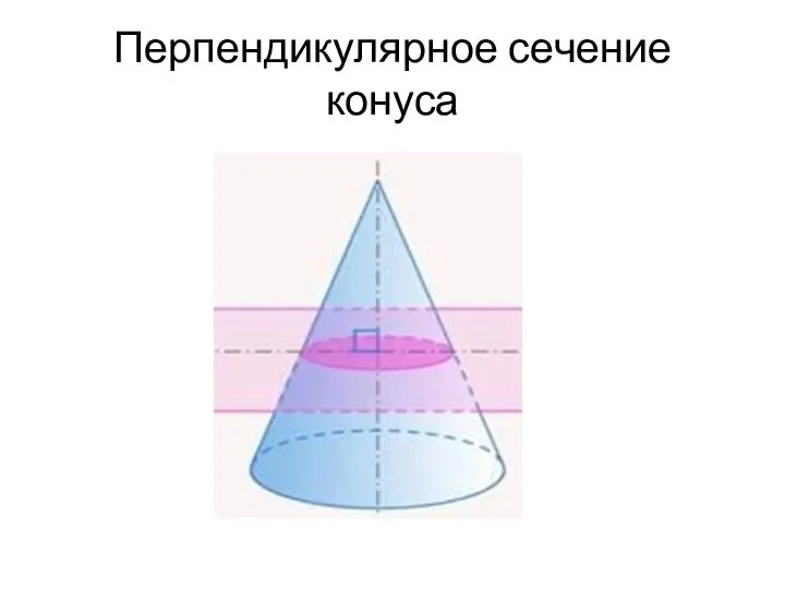 Пер­пен­ди­ку­ляр­ное се­че­ние конуса