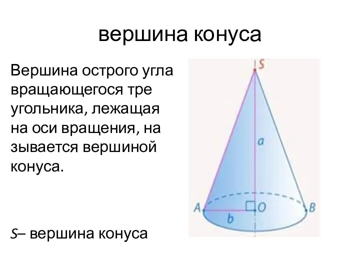 вер­ши­на ко­ну­са Вер­ши­на остро­го угла вра­ща­ю­ще­го­ся тре­уголь­ни­ка, ле­жа­щая на оси вра­ще­ния, на­зы­ва­ет­ся