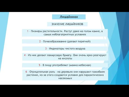 Лишайники ЗНАЧЕНИЕ ЛИШАЙНИКОВ 1 – Пионеры растительности. Растут даже на голом камне,