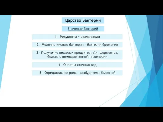 Царство Бактерии Значение бактерий 1 – Редуценты = разлагатели 2 – Молочно-кислые