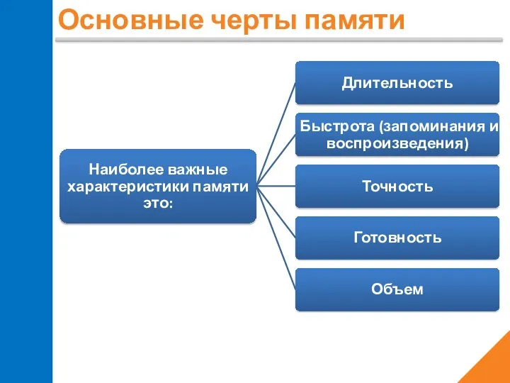 Основные черты памяти