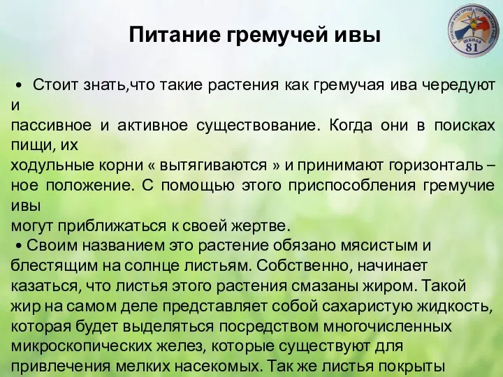 Питание гремучей ивы • Стоит знать,что такие растения как гремучая ива чередуют