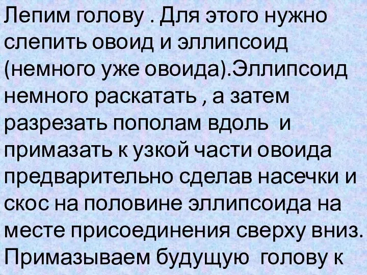 Лепим голову . Для этого нужно слепить овоид и эллипсоид (немного уже