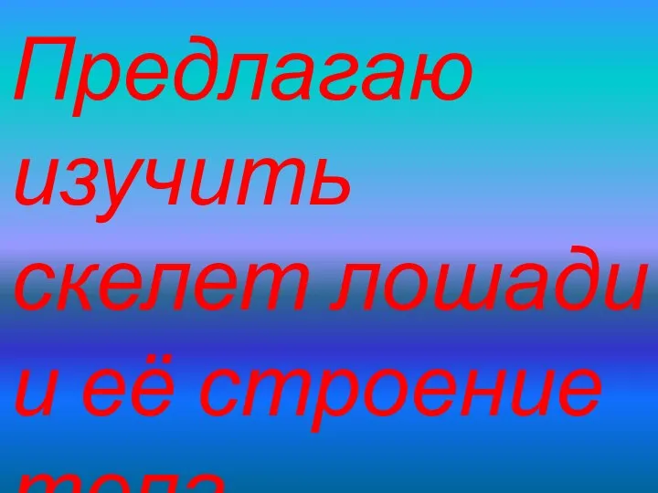 Предлагаю изучить скелет лошади и её строение тела .