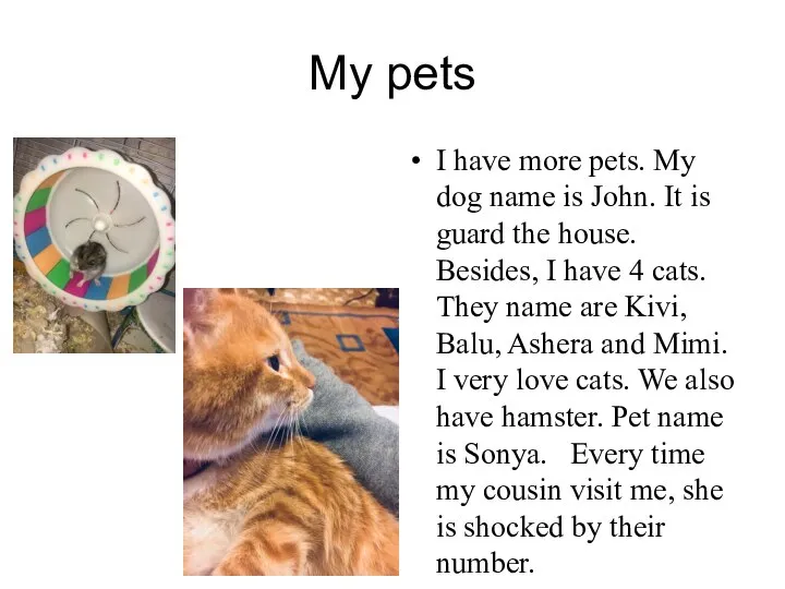 My pets I have more pets. My dog name is John. It