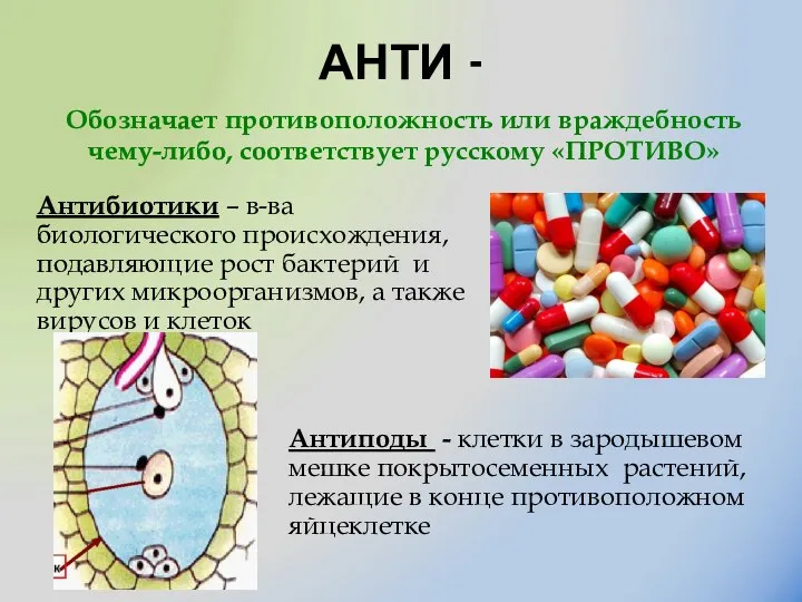 АНТИ - Антибиотики – в-ва биологического происхождения, подавляющие рост бактерий и других