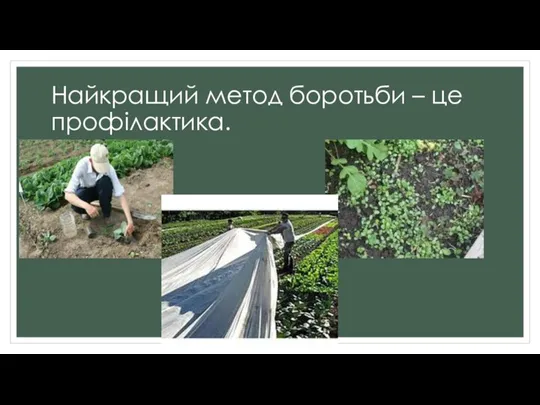 Найкращий метод боротьби – це профілактика.