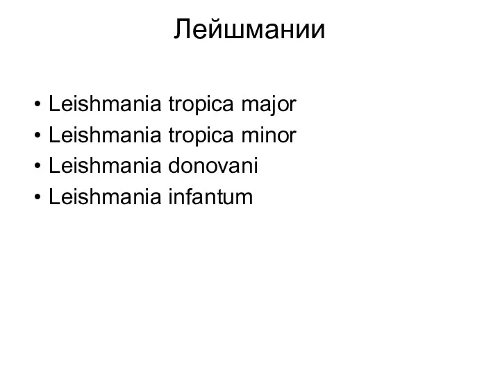 Лейшмании Leishmania tropica major Leishmania tropica minor Leishmania donovani Leishmania infantum