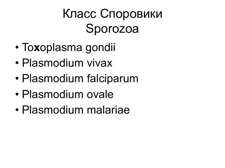 Класс Споровики Sporozoa Toxoplasma gondii Plasmodium vivax Plasmodium falciparum Plasmodium ovale Plasmodium malariae