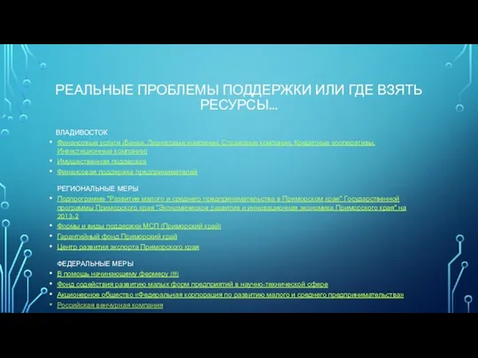 РЕАЛЬНЫЕ ПРОБЛЕМЫ ПОДДЕРЖКИ ИЛИ ГДЕ ВЗЯТЬ РЕСУРСЫ... ВЛАДИВОСТОК Финансовые услуги (Банки, Лизинговые