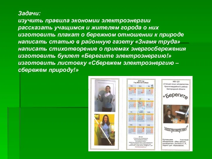 Задачи: изучить правила экономии электроэнергии рассказать учащимся и жителям города о них