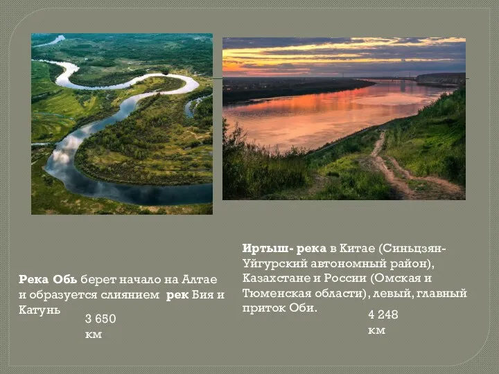 Река Обь берет начало на Алтае и образуется слиянием рек Бия и