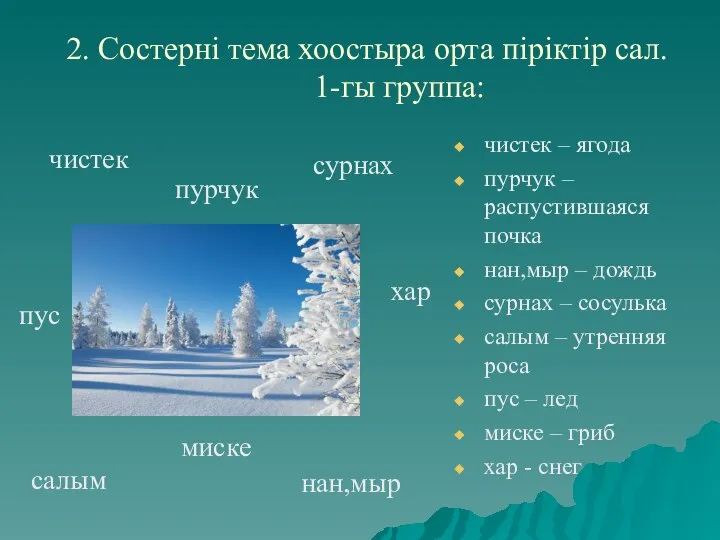 2. Состернi тема хоостыра орта пiрiктiр сал. 1-гы группа: чистек – ягода