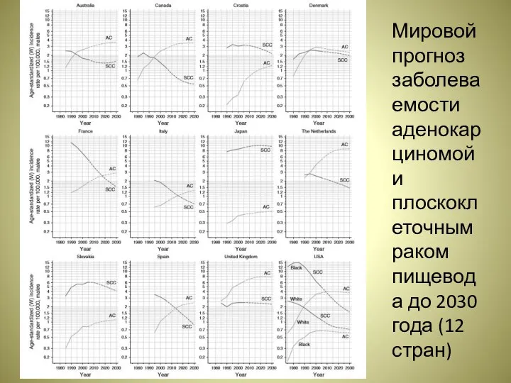 Мировой прогноз заболеваемости аденокарциномой и плоскоклеточным раком пищевода до 2030 года (12 стран)