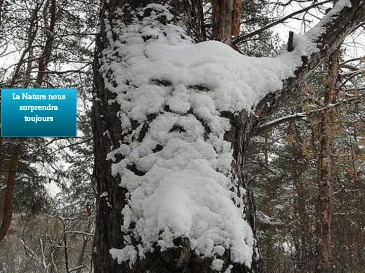 La Nature nous surprendra toujours