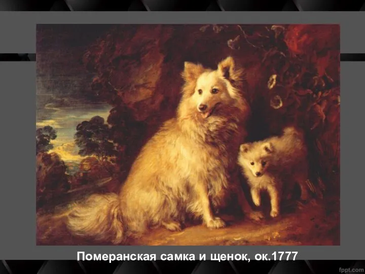 Померанская самка и щенок, ок.1777