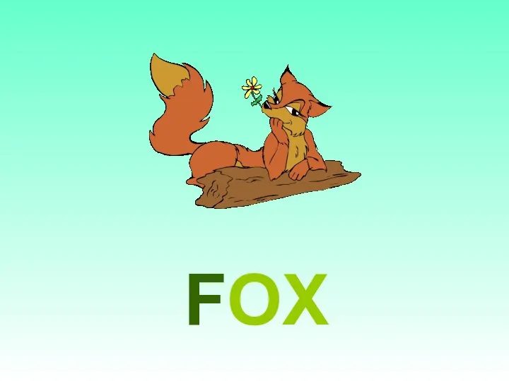 FOX