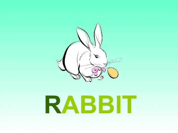 RABBIT