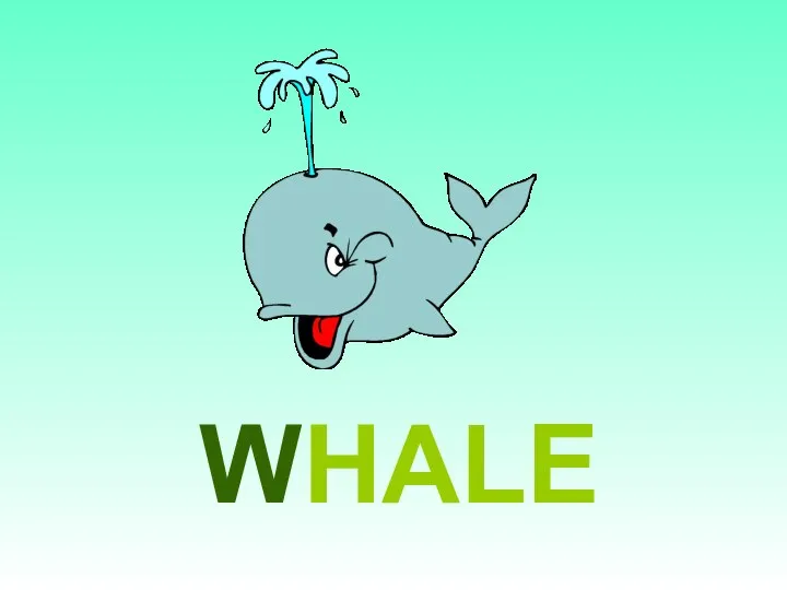 WHALE