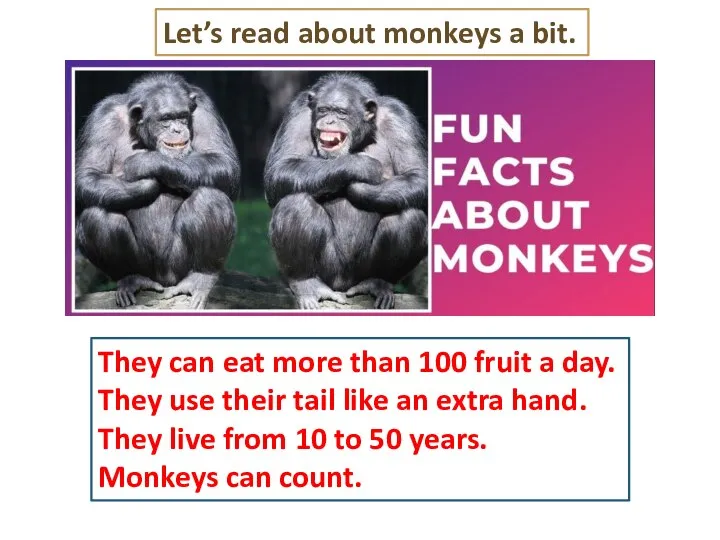 They can eat more than 100 fruit a day. They use their