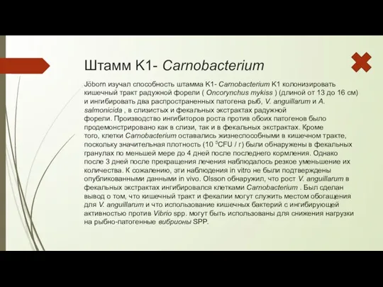 Штамм K1- Carnobacterium Jöborn изучал способность штамма K1- Carnobacterium K1 колонизировать кишечный