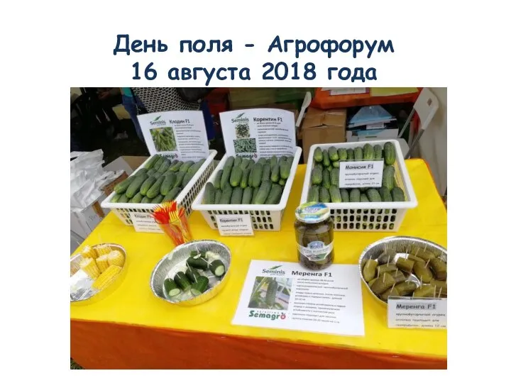 День поля - Агрофорум 16 августа 2018 года