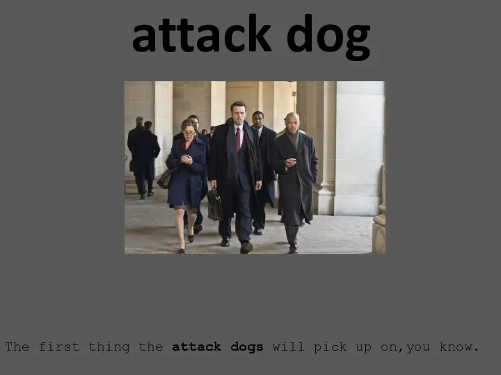 attack dog The first thing the attack dogs will pick up on,you know.